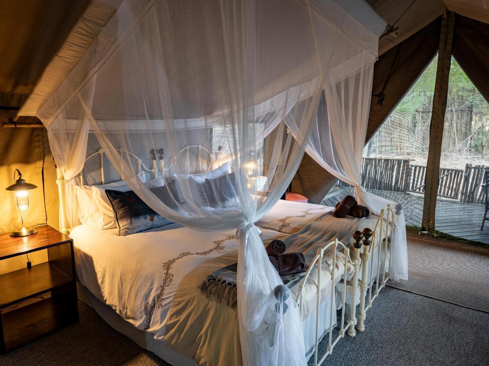 Kwambili Game Lodge Wildreservat Thornybush Zimmer foto