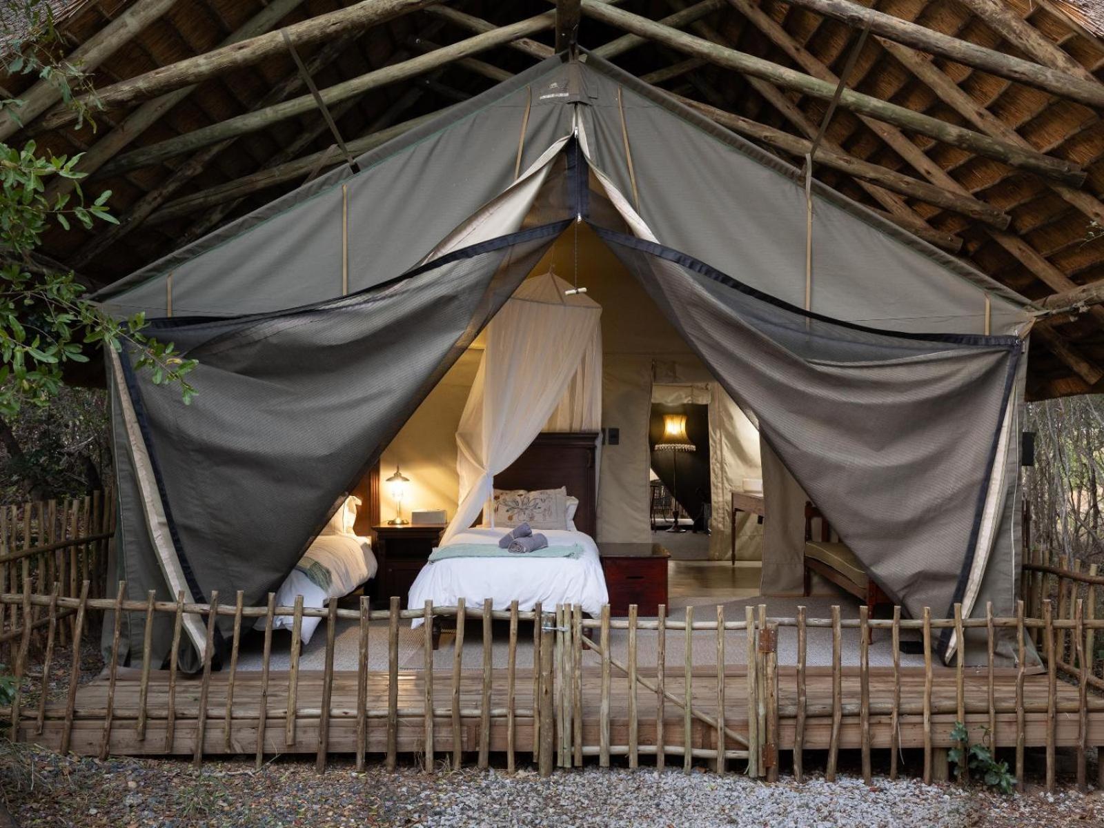 Kwambili Game Lodge Wildreservat Thornybush Zimmer foto